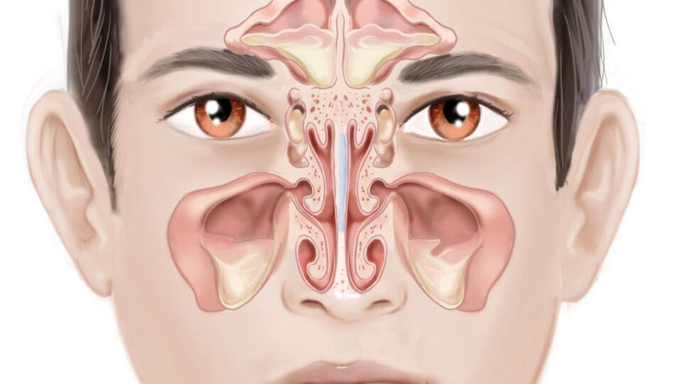 Yanlış biliyorsunuz!