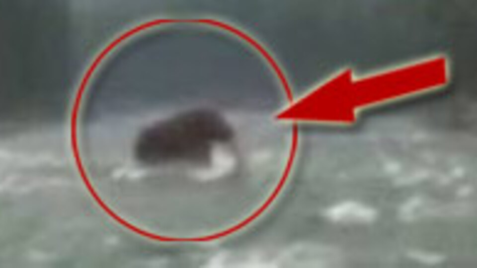 UFO'lardan sonra şimdi de...VİDEO