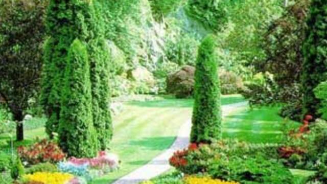 Tıbbi bitki parkı geliyor