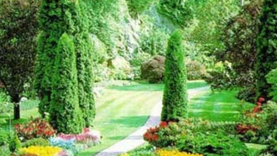 Tıbbi bitki parkı geliyor