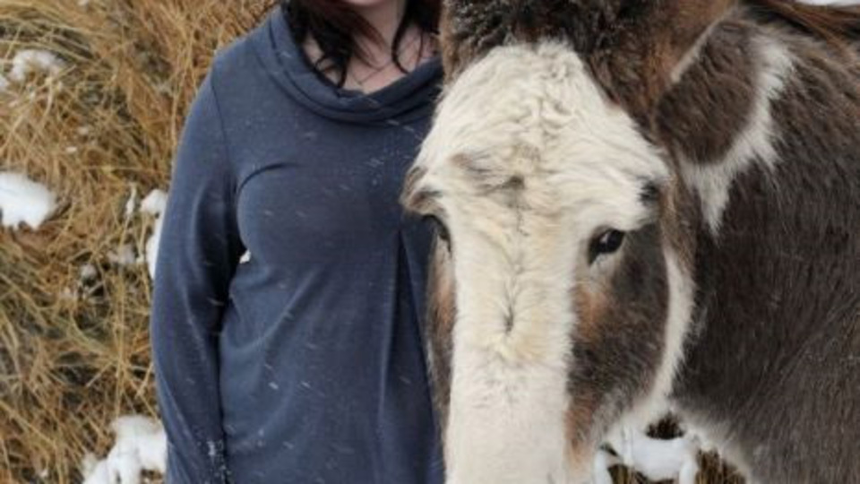 Hamile kaldı anırmaya başladı