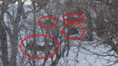 İşte o operasyonun görüntüleri! GALERİ