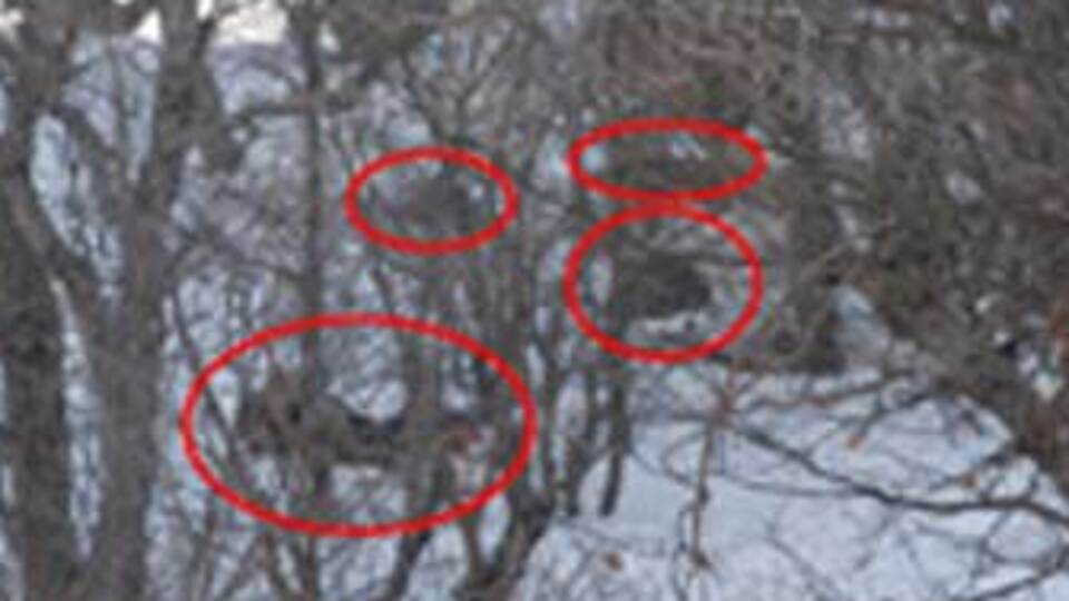 İşte o operasyonun görüntüleri! GALERİ