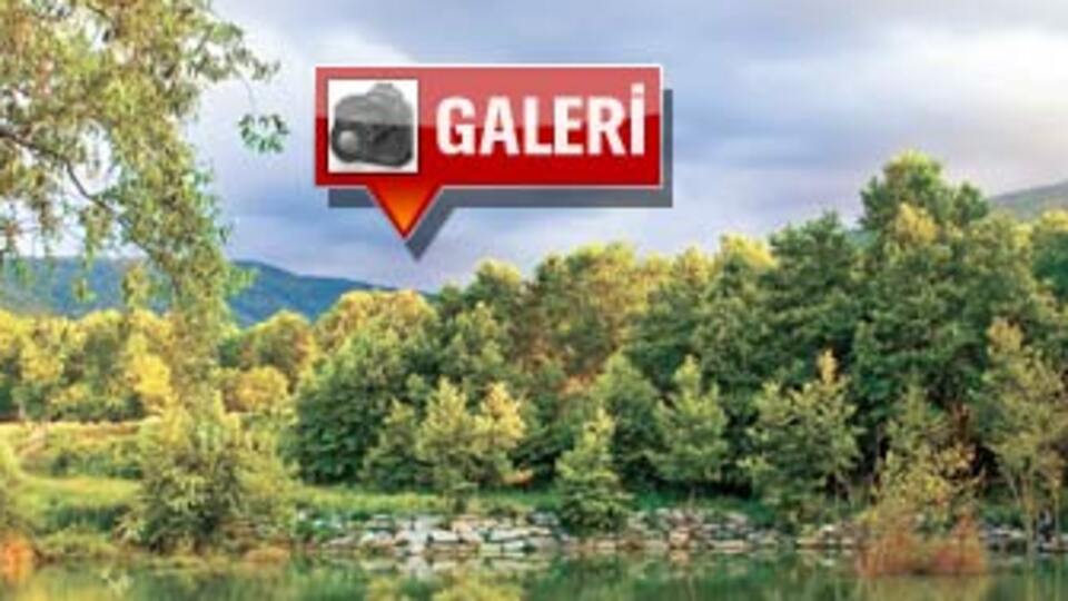 İstanbul'un arka bahçesi Sapanca! GALERİ