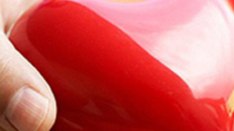 "Organlarınızı vasiyet edin"