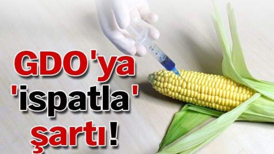 GDO'ya 'ispatla' şartı
