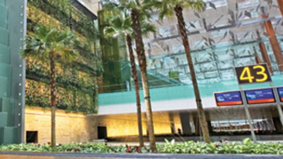 Havalimanı'nda kelebek bahçesi! GALERİ