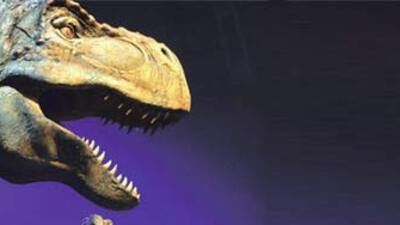 Gelmiş geçmiş en güçlü çene T-Rex'in