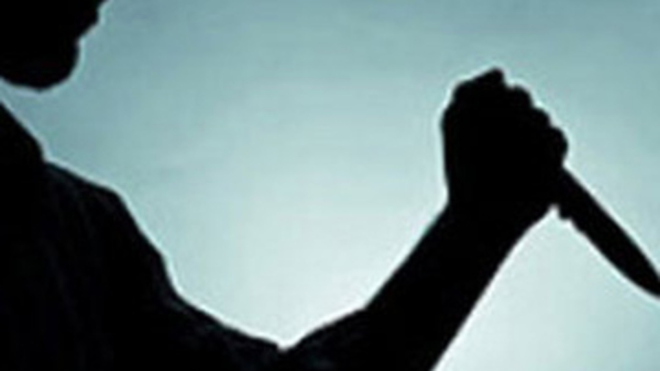 Annesinin sevgilisini öldürdü!