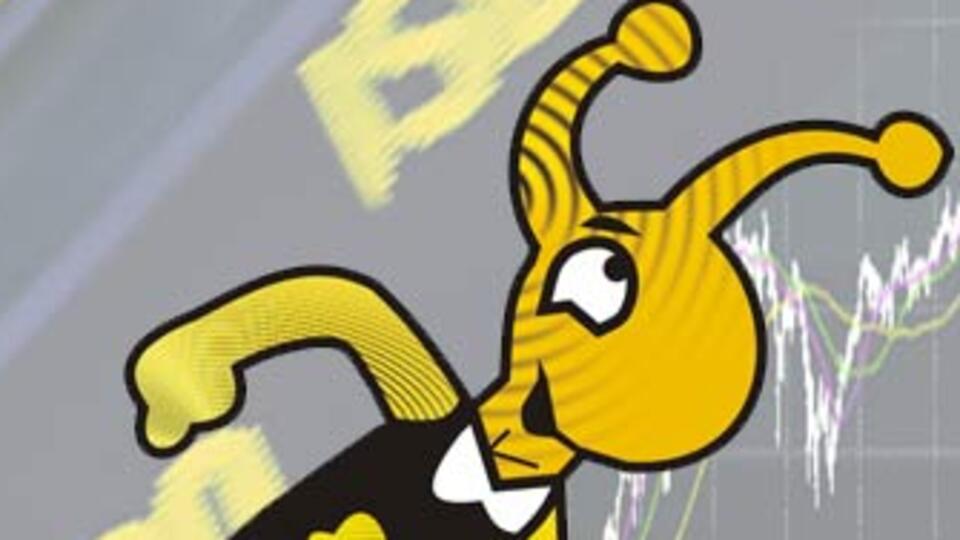 Bulgar devine Türk talip