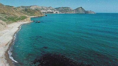 10 yıllık araştırmanın çarpıcı sonucu! GALERİ