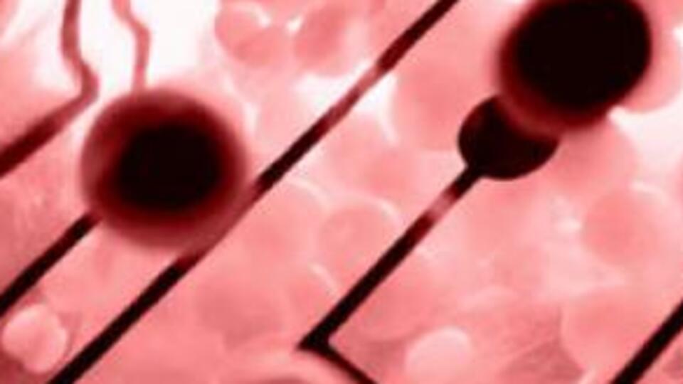 Hayat kurtarıcı ama ilgilenen yok!