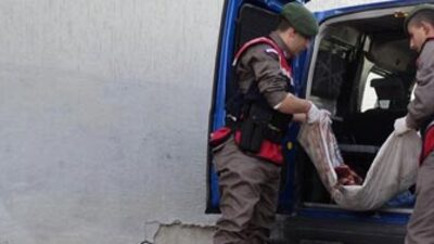 Şifa niyetine kirpi katliamı