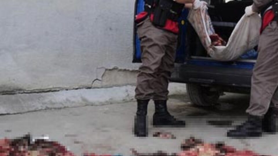 Şifa niyetine kirpi katliamı