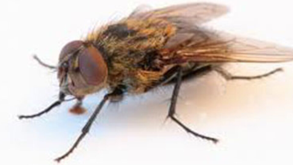 Çok ilginç araştırma