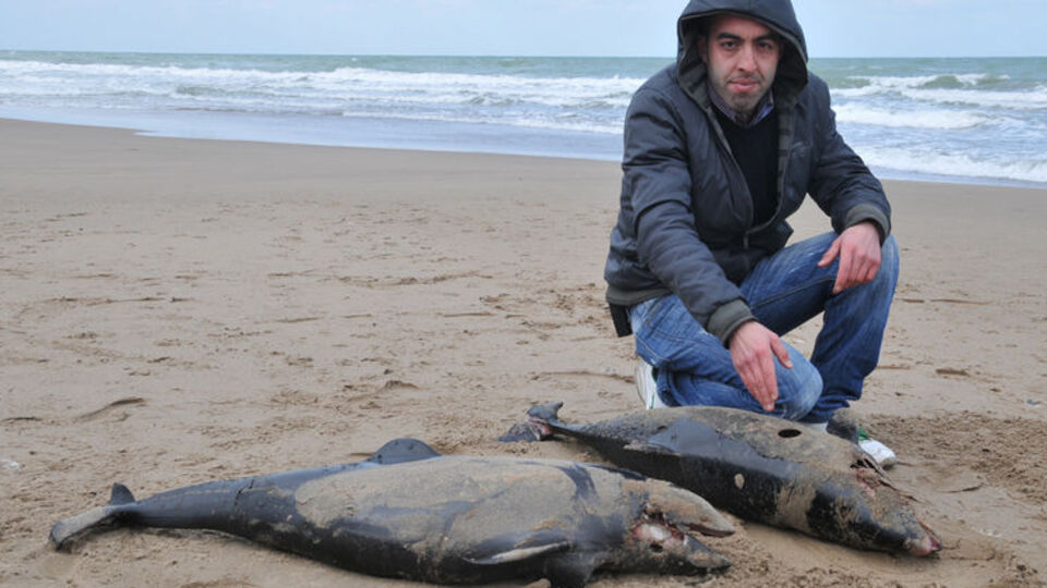 Karadeniz'de onlarca var! GALERİ