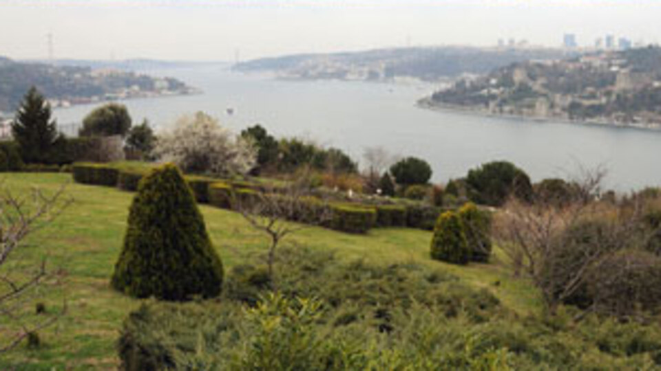 Bu 'yeşil'e kıymayalım!