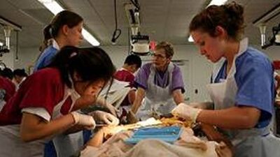 Kadavra dağıtımı başlıyor