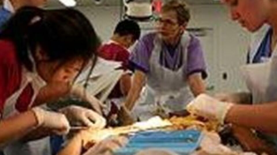 Kadavra dağıtımı başlıyor