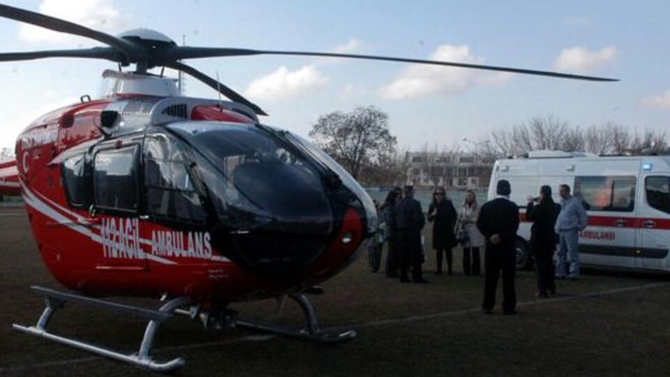 Arı sokması kalp krizine neden oldu