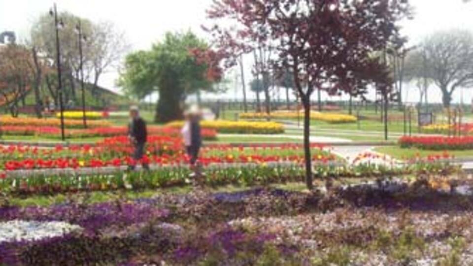 Dikkat! Yeni tehlike kapıda GALERİ