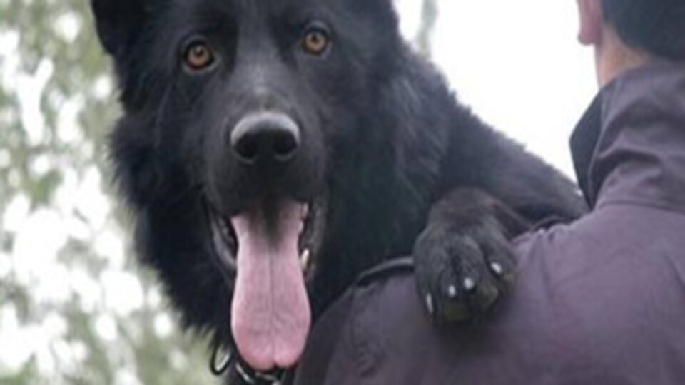 PKK operasyonlarında yeni yöntem!