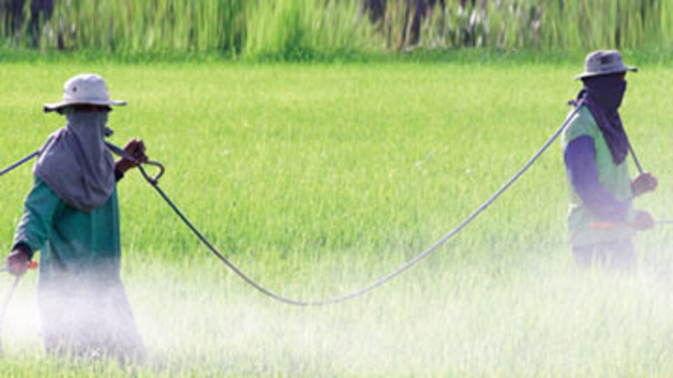 Tarım ilacı ne zaman şifa ne zaman zehir?