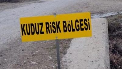 Başkent'te kuduz vakası