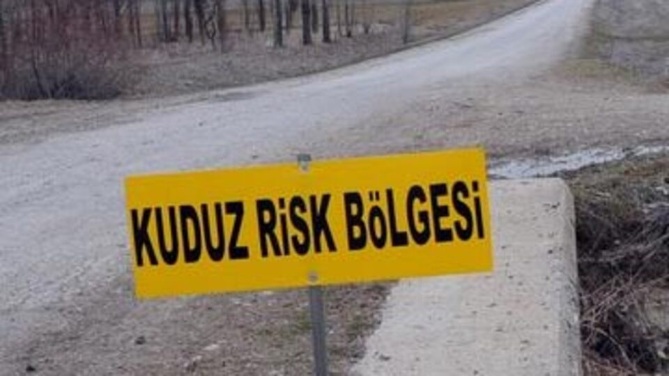 Başkent'te kuduz vakası