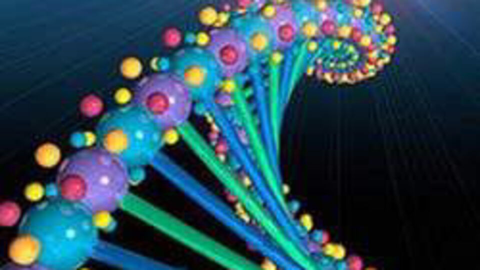 DNA'ya kandık