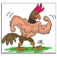 Sağlıklı diye yediğimiz tavuklar kanser mi yapıyor?