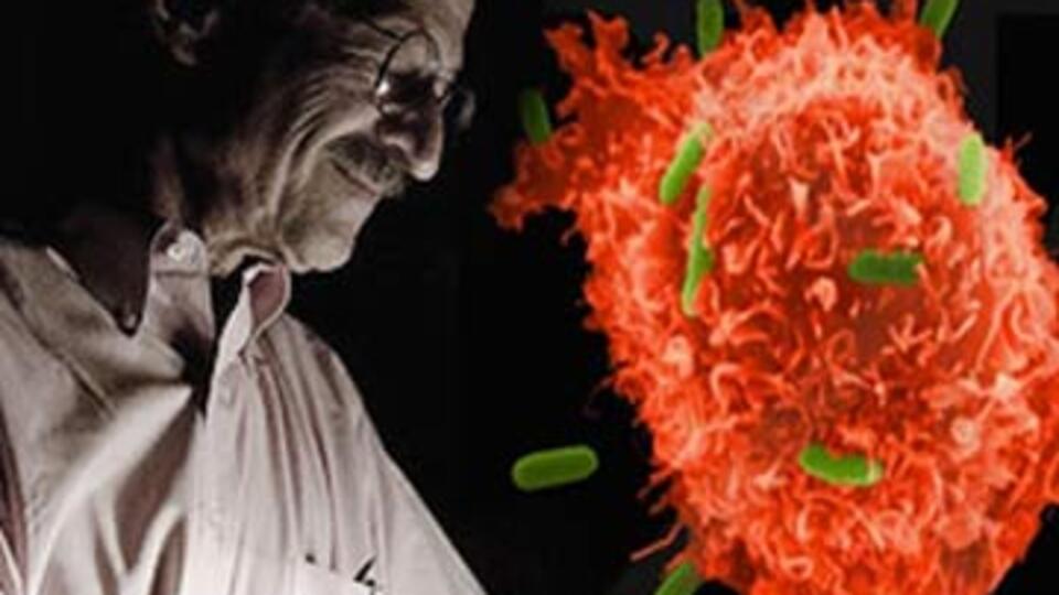 Nobel ödüllü uzmandan kansere karşı 4 öneri