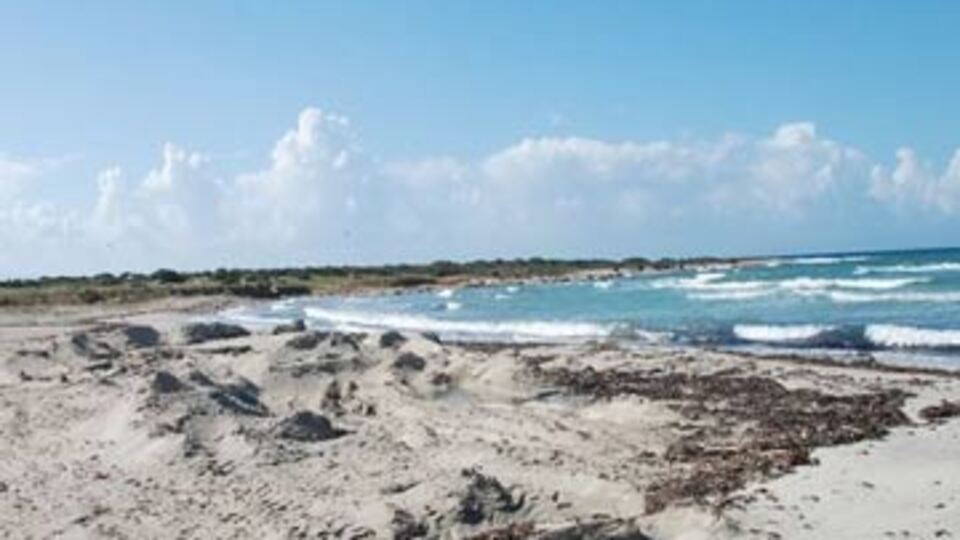 Manastır Koyu'nun kumlarını çaldılar!