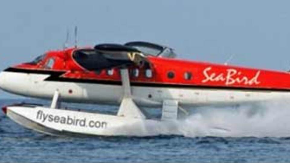 Denizkuşu tarifesi!