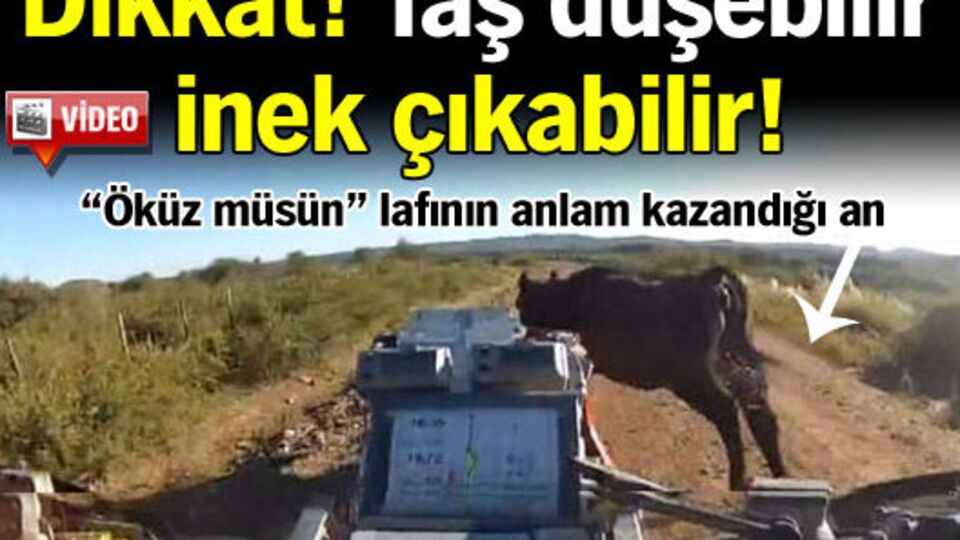 Dikkat! Taş düşebilir, inek çıkabilir!