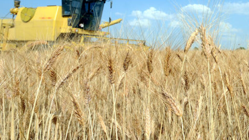 Tarım alanımız yeterli mi?