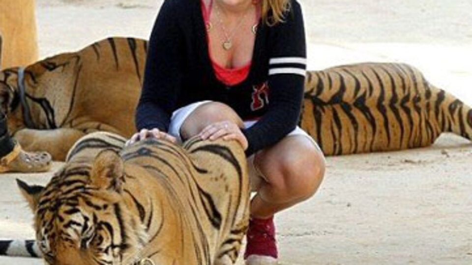 "Kaplan Tapınağı" turistlerin gözdesi