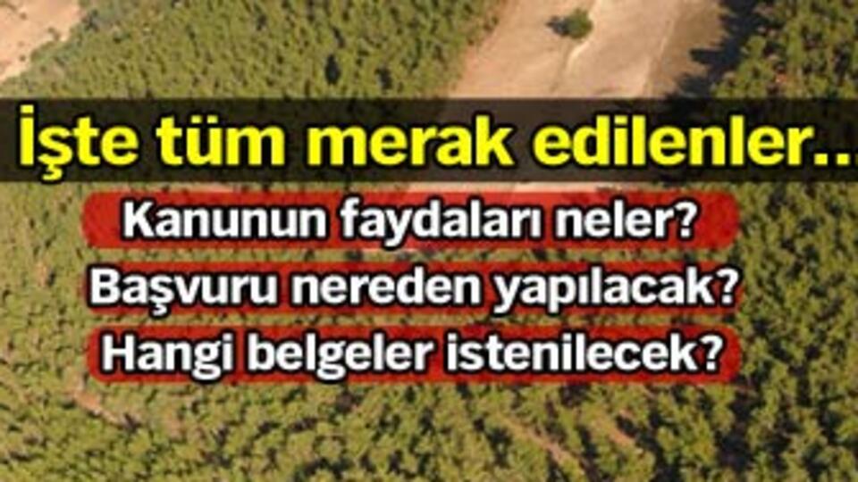2B neler getiriyor?