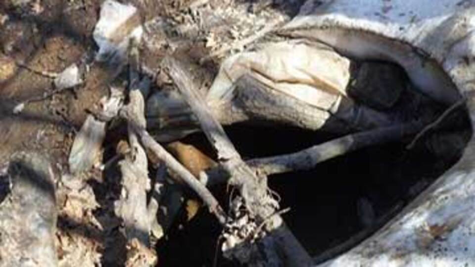Muş'ta PKK'ya ait sığınak bulundu!
