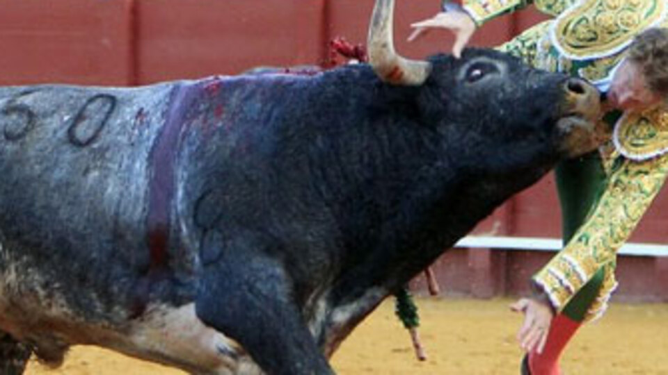 Yenilen matador güreşe doymuyor