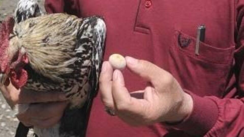 Bilim dünyası şokta! GALERİ