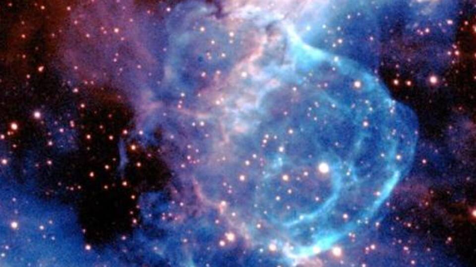 'Yaradılış' ve 'evrim' kapışması