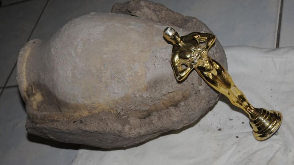 Al Oscar'ı ver ineği! GALERİ