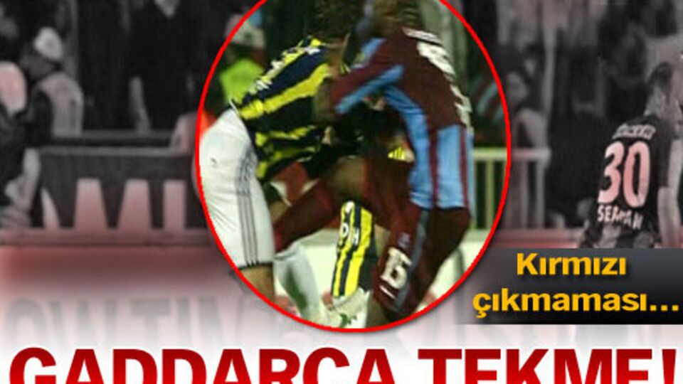 Gaddarca tekme!
