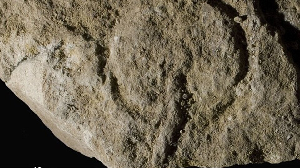 Tarihin ilk pornosu! GALERİ