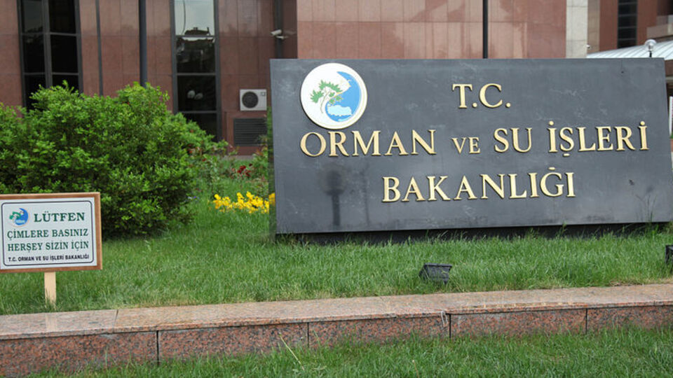 Twitter'dan istek geldi bakan gerçekleştirdi