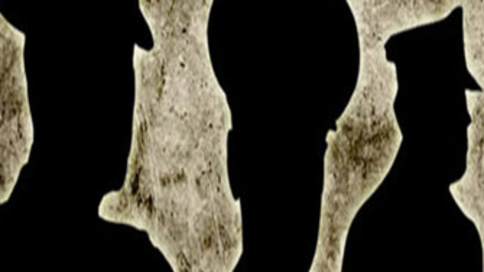 17 askere tutuklama!