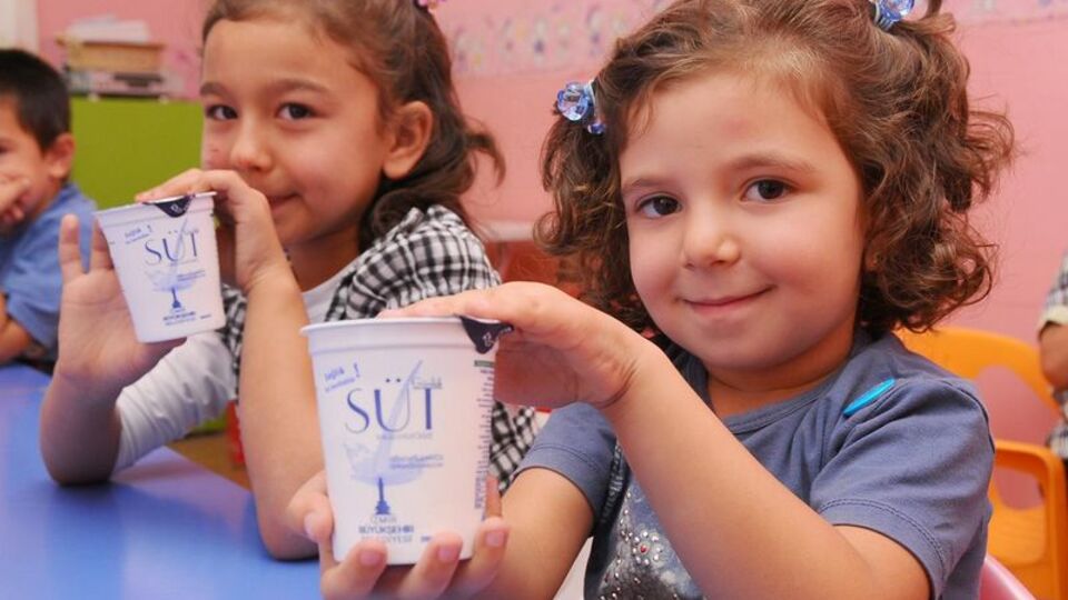 Okul sütüne uluslararası destek