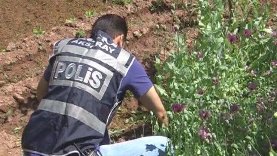 Kene alarmı