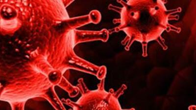 Et yiyen bakteri dehşeti